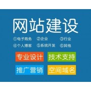 网站建设，ssc，cp菠菜平台搭建，软件开发，娱乐城搭建