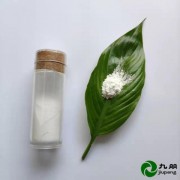 陶瓷涂料5N高纯氧化铝